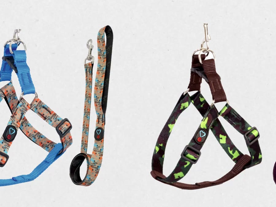 Dois kits de peitoral e guia estampados