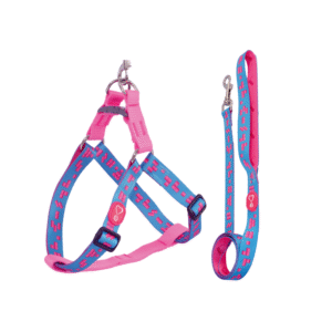 Peitoral Pet Walking Adria Seda + Guia