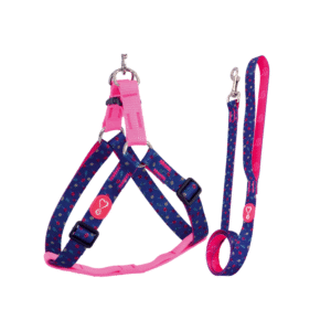 Coleira Peitoral Pet Walking Messina Seda + Guia