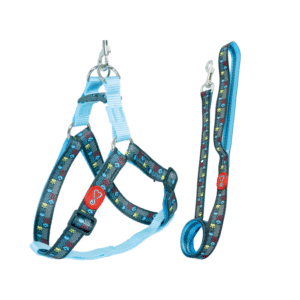 Coleira Peitoral Pet + Guia Walking Seda Pescara