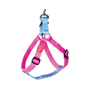 Coleira Cachorro Peitoral + Guia Walking Rosa Fluor Grande - Coltelli