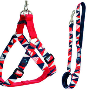 Peitoral Walking Roma Seda +  Guia