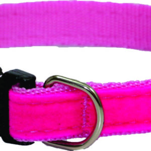 COLEIRA NYLON FECHO CAMURÇA