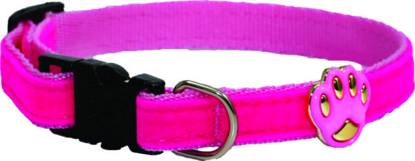 COLEIRA NYLON FECHO CAMURÇA