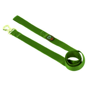 Guia Para Cachorro Musgo Trava Segurança