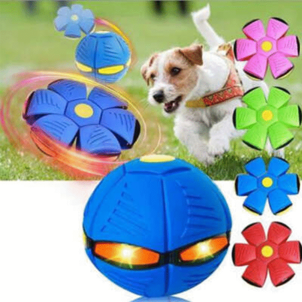 Bola Magica  DOGS ERA - Imagem 4