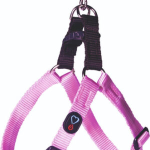 Coleira Peitoral + Guia Walking Rosa