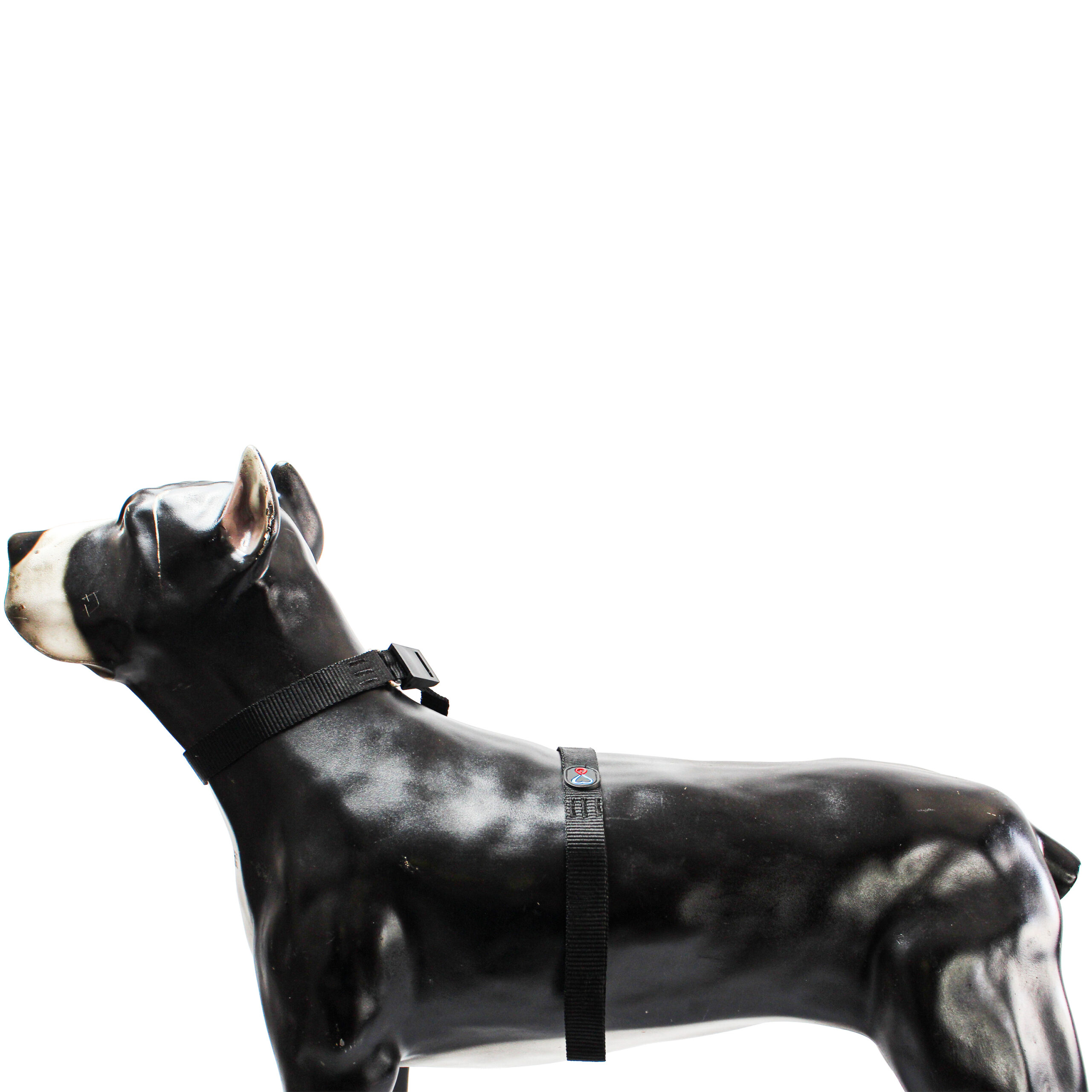 GUIA UNIFICADA GRANDE PARA PET PASSEAR 180 CM - Imagem 4