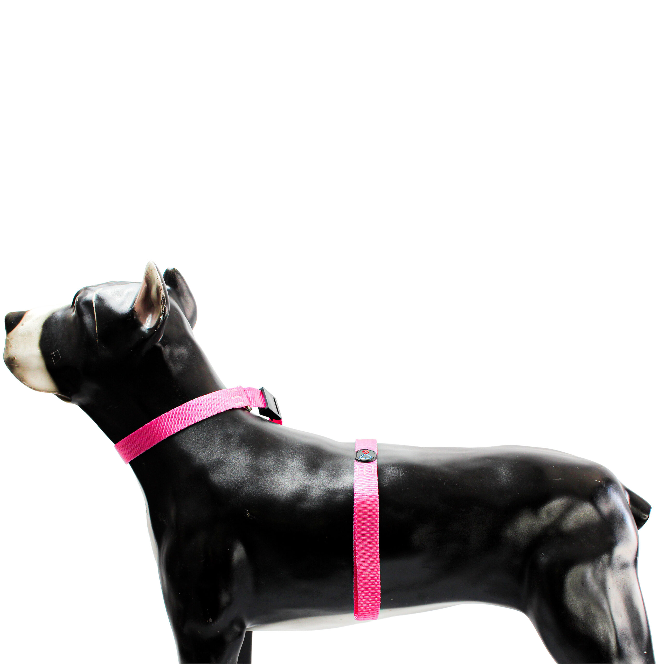 GUIA UNIFICADA GRANDE PARA PET PASSEAR 180 CM - Imagem 6