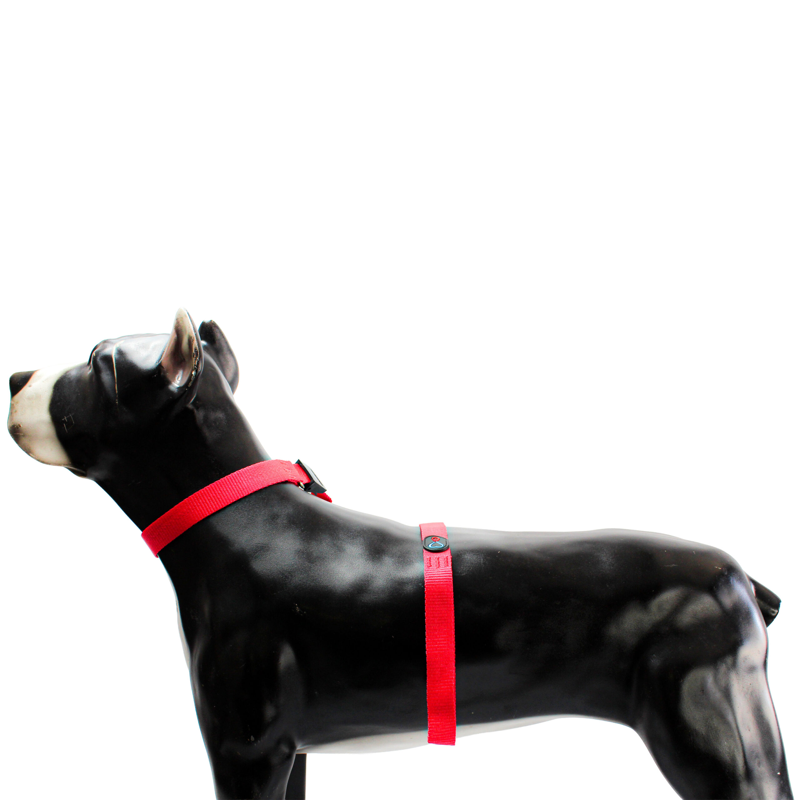 GUIA UNIFICADA GRANDE PARA PET PASSEAR 180 CM - Imagem 8